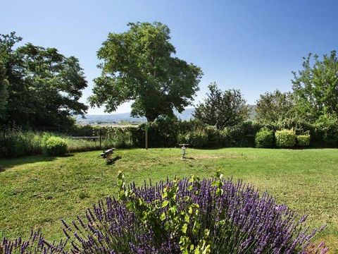 Résidence Odalys Essentielle Les Soleils du Luberon - Camping Vaucluse - Image N°4